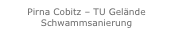 Pirna Cobitz – TU Gelände
Schwammsanierung