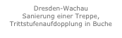 Dresden-Wachau
Sanierung einer Treppe, Trittstufenaufdopplung in Buche